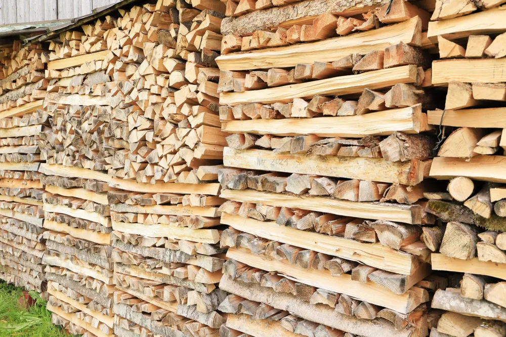 bois de chauffage sec