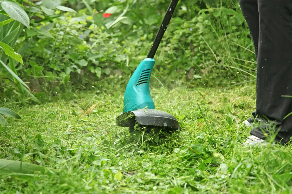 Entreprise d'entretien de jardin à Nandrin